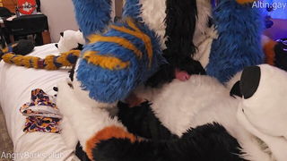 AngryBarks mutt trains kitten naked girls scene in HD