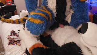 AngryBarks mutt trains kitten naked girls scene in HD
