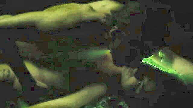 Nude Dancers porn - free HD nude video