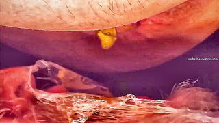 Ceres piss throat domination - nude porn video